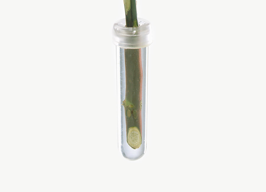 Hydrotube 375